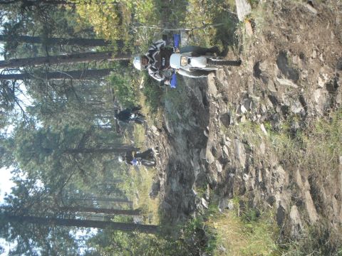 1987 Honda XL600R - Several dirt bikes navigate a challenging, rocky path surrounded by trees.