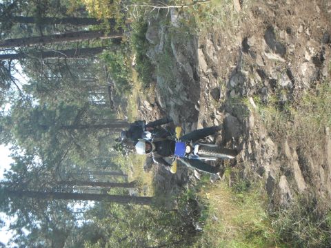 1987 Honda XL600R - Two motorcycles navigate a challenging, rocky trail through a wooded area.