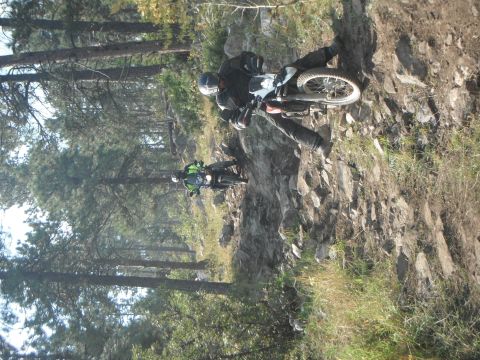 1987 Honda XL600R - Riders tackle a challenging off-road path on dirt bikes, surrounded by trees and rocky terrain.