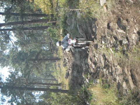 1987 Honda XL600R - A dirt bike rider navigates a challenging rocky path through a wooded area.