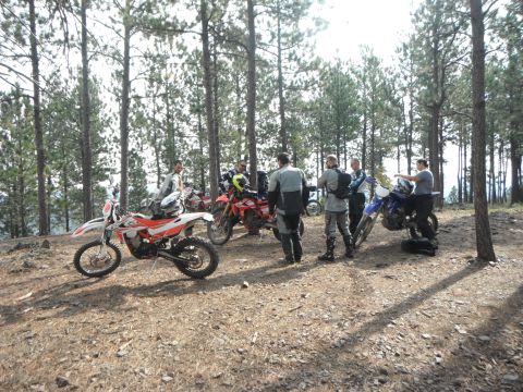 1987 Honda XL600R - A group of riders and their dirt bikes gather in a wooded area during an outdoor rally.