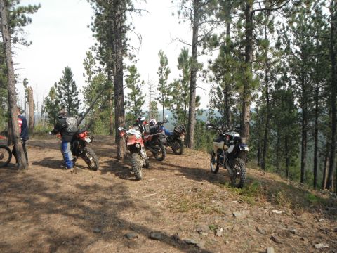 1987 Honda XL600R - Group of motorcycles parked on a wooded trail during an outdoor rally.