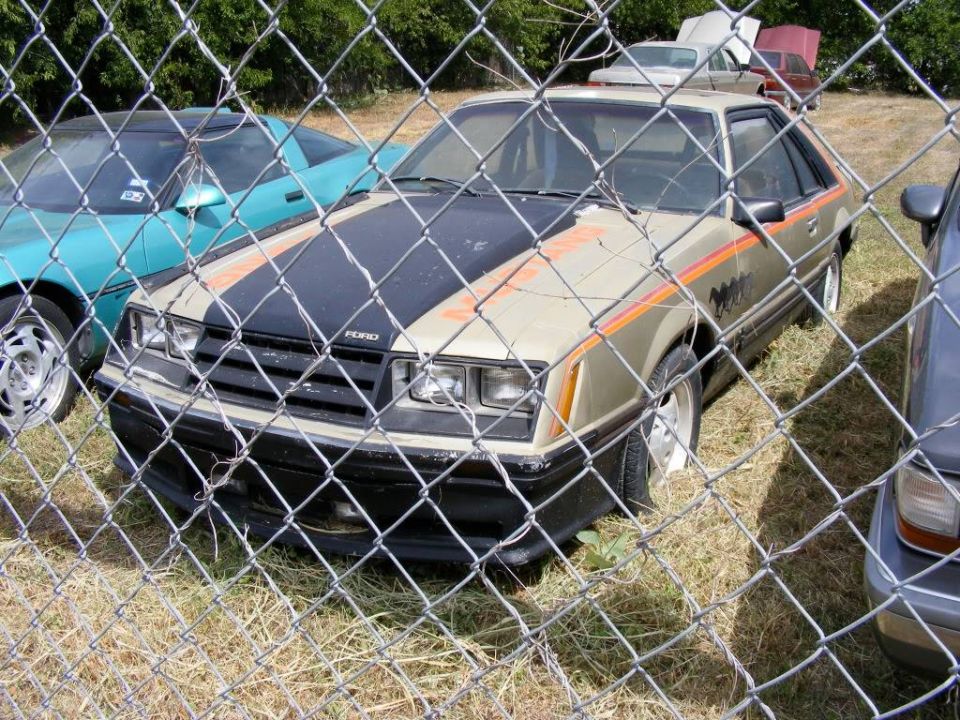 1979 Ford Mustang