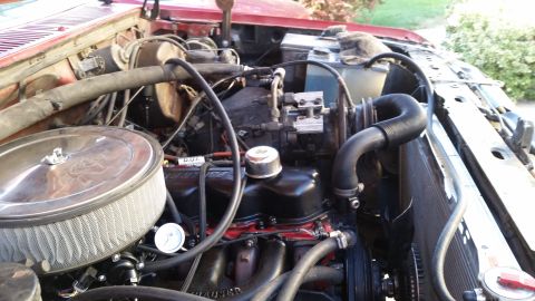 1985 Ford Bronco - The engine bay of a red Ford Bronco is shown, featuring a V8 engine with a chrome air cleaner and various hoses and components.