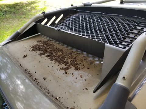 2001 Nissan Xterra - While gluing the rubber seal back onto the wind fairing (with a tube of black E6000), I blasted the debris off the roof.