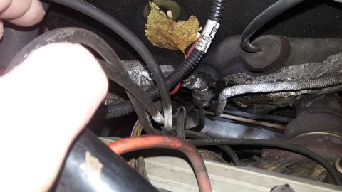 Engine bay with hoses, wiring, and a dried leaf.
