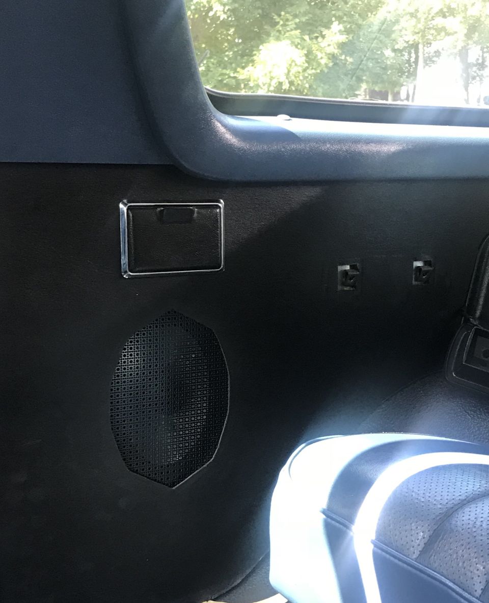 Interior door panel with speaker grille and chrome trim. Seat visible