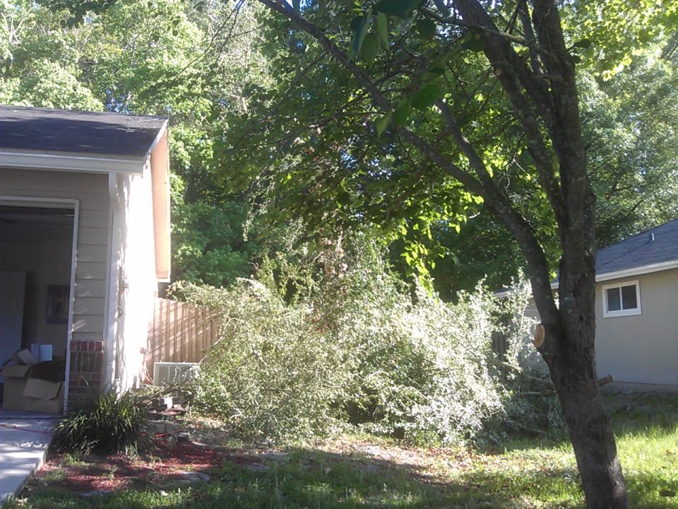 Residential backyard scene with a garage, house, tree, and bushes.