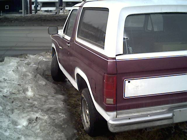 1983 Ford Bronco
