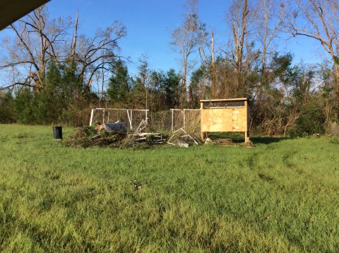 1992 Ford Bronco - A wooden structure resembling a chicken coop or birdhouse stands in a grassy yard with debris and a trash can nearby. Tall trees with bare…