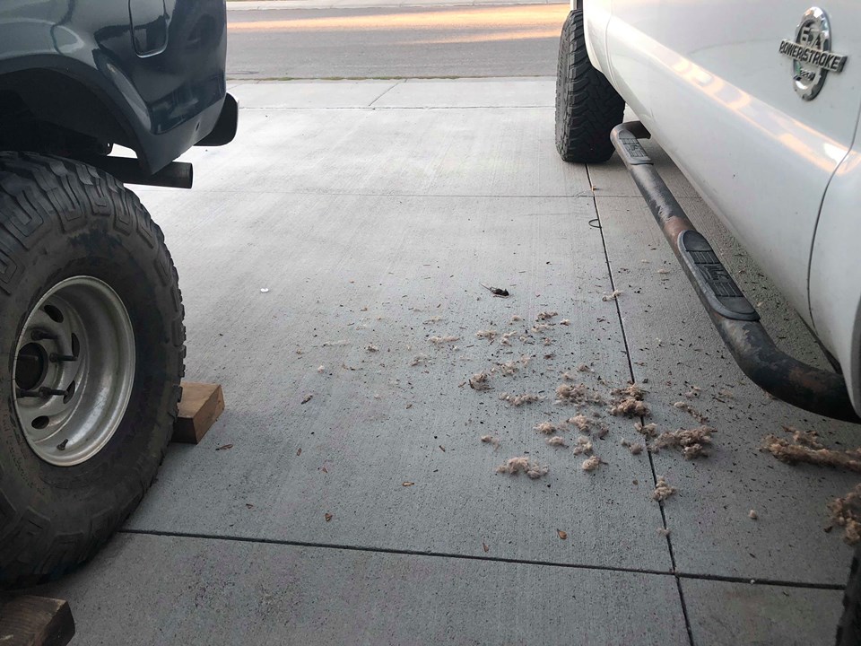Rear tire of dark vehicle on blocks next to white truck with running boards and Powerstroke badge.