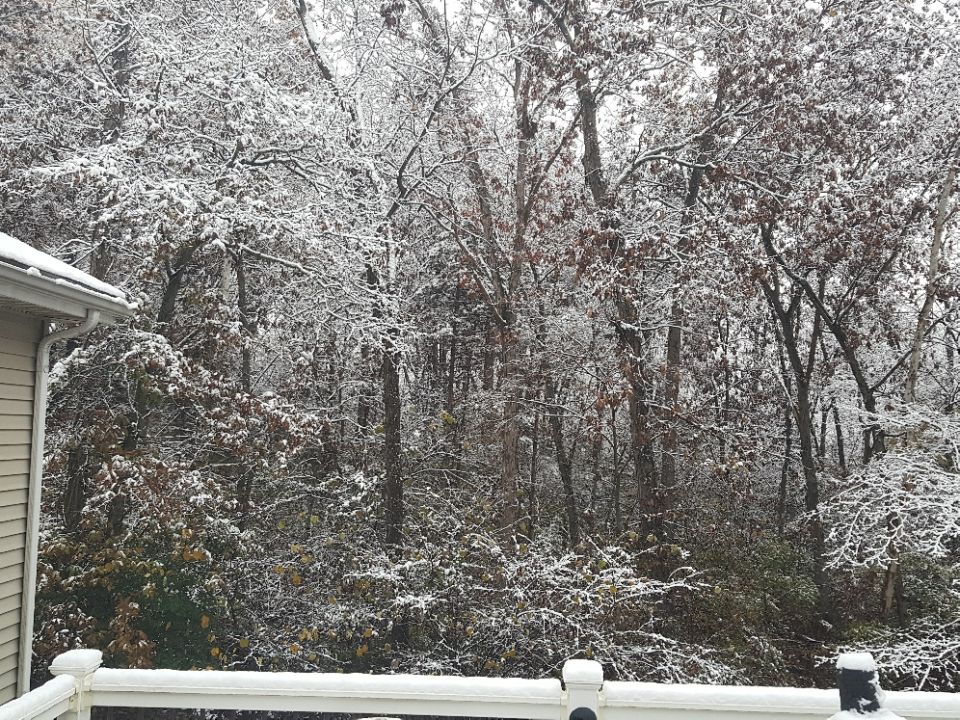 Snow covers trees and bushes outside a house with a white railing in the foreground