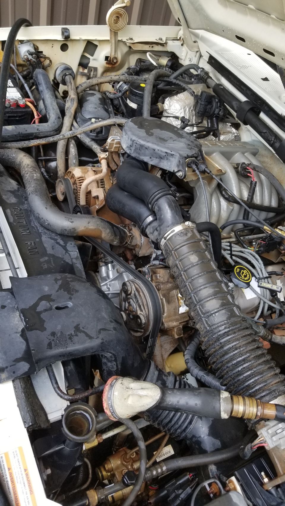 Engine bay with hoses, belts, and engine components visible