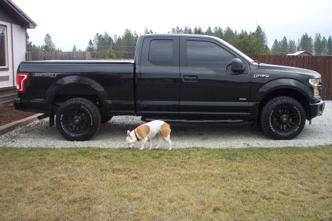 2015 Ford F-150