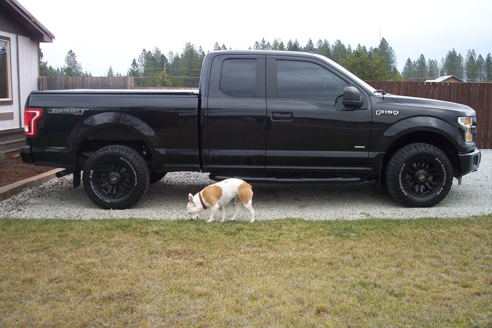 Black crew cab pickup truck parked on gravel with a small dog in front.