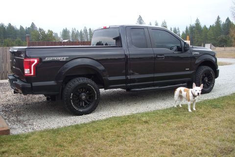 2015 Ford F-150