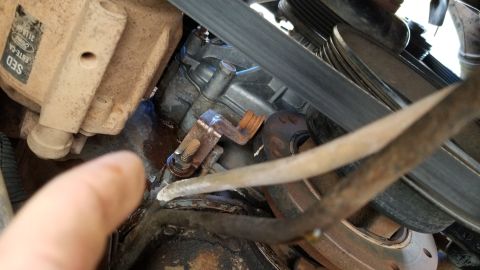 1995 Ford Bronco - The timing cover gasket leak rapidly became the focus of the repairs. [url=https://www.supermotors.net/vehicles/registry/media/1142300] htt…