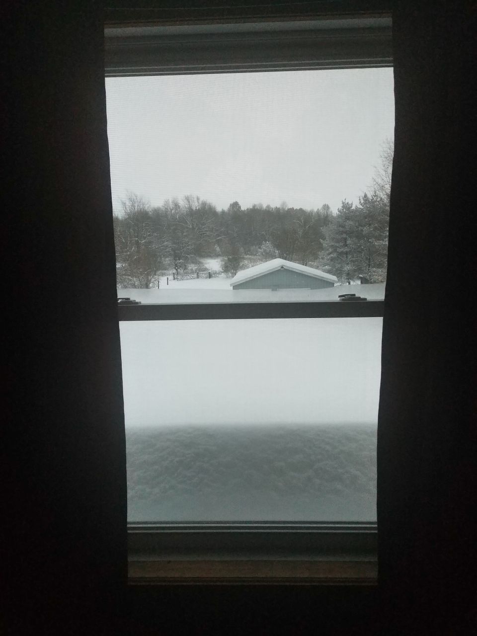 A snowy landscape seen through a window.