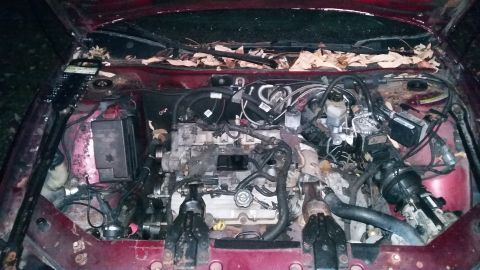 Engine bay of a maroon 2000 Pontiac Grand Prix