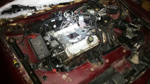 Engine bay of a dark red 2000 Pontiac Grand Prix with snow and leaves.