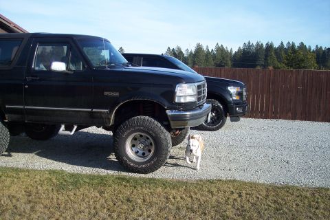 2015 Ford F-150 photo