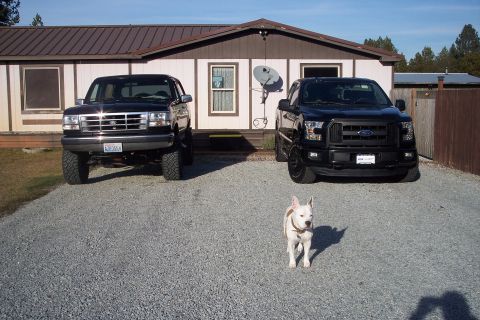 2015 Ford F-150 photo