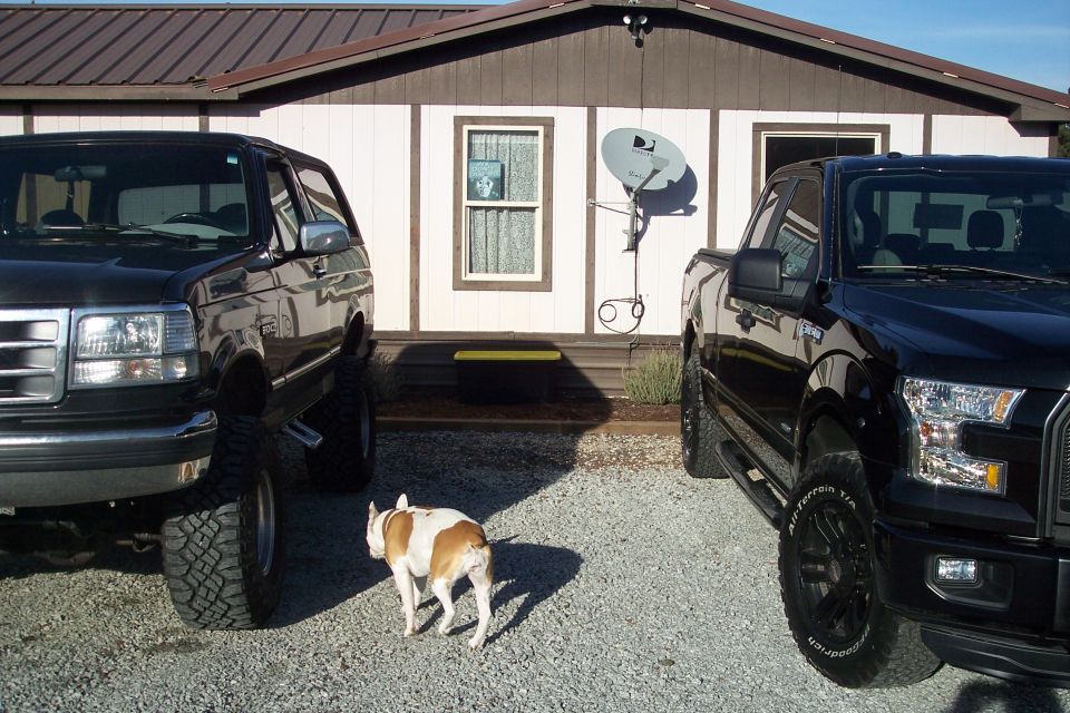 Black Ford F-150 parked next to an older black SUV with a dog in front.