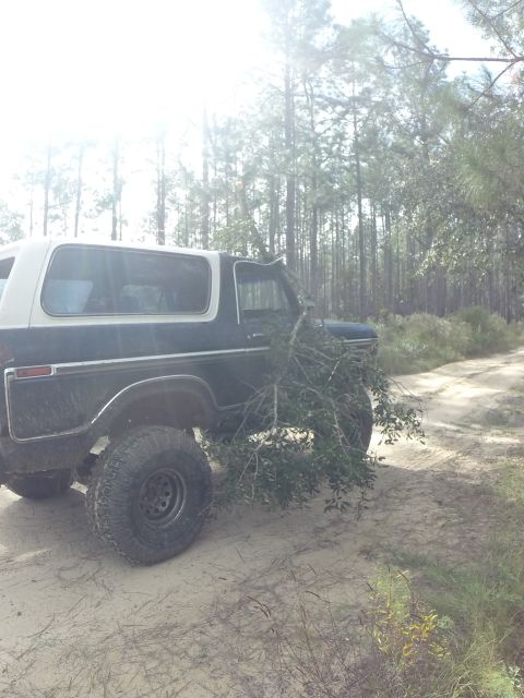 1996 Ford Bronco - A dark blue and white Ford Bronco is parked on a sandy dirt road, with a large tree branch draped over its front end. The vehicle is surrou…