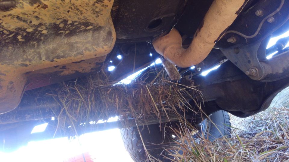 Underside of a vehicle with a large nest of dry grass packed around the exhaust and frame.