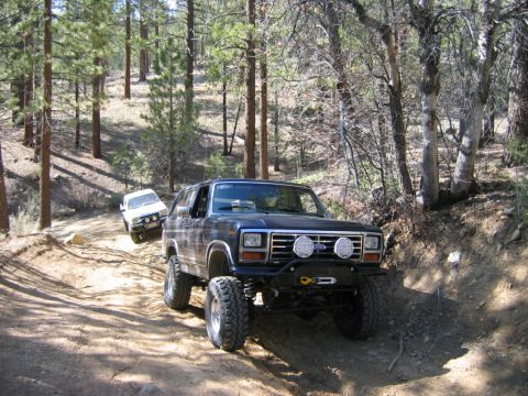 1985 Ford Bronco - Two SUVs navigate a wooded trail, with the lead vehicle prominently displaying off-road modifications.