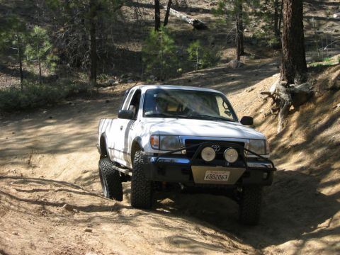 1985 Ford Bronco - A white pickup truck navigates a wooded, off-road trail with large tires and a reinforced bumper.