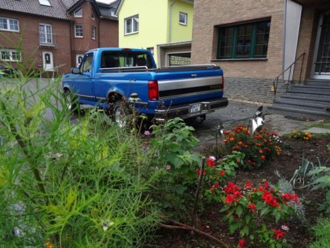 1994 Ford F-150 photo