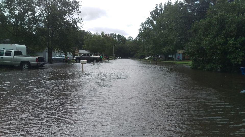 Flooded street with several cars and trucks submerged in water. Houses and trees line the sides