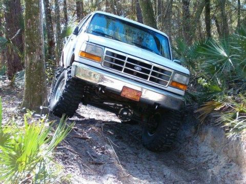 1995 Ford Bronco - Ocala Forest