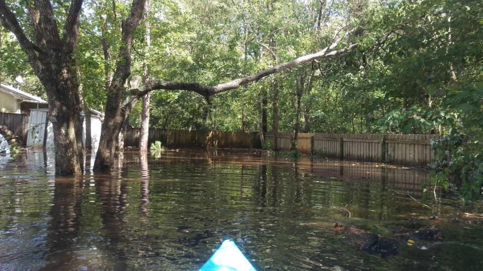 Flooded backyard with trees and a fence, taken from a kayak