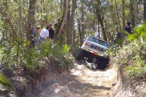 1995 Ford Bronco - A white lifted full-size Ford truck on oversized mud tires climbs a steep sandy trail rut in a pine and palmetto woods, front end tipped up…