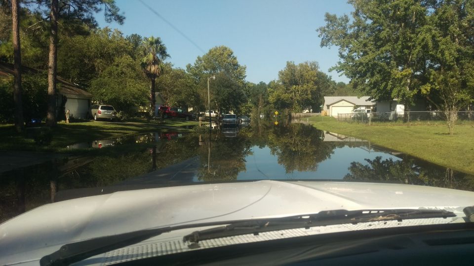 Flooded street with cars parked in front of houses. Water reflects trees and sky