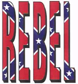 1988 Ford Bronco - A large 'REBEL' decal with a Confederate flag design is shown, with a website address at the bottom.