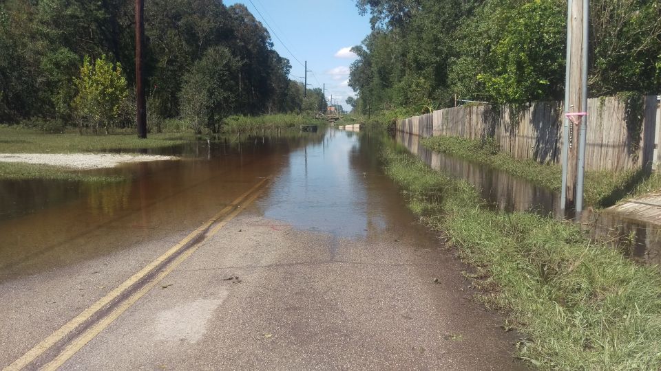 Flooded road with standing water, trees, and a wooden fence