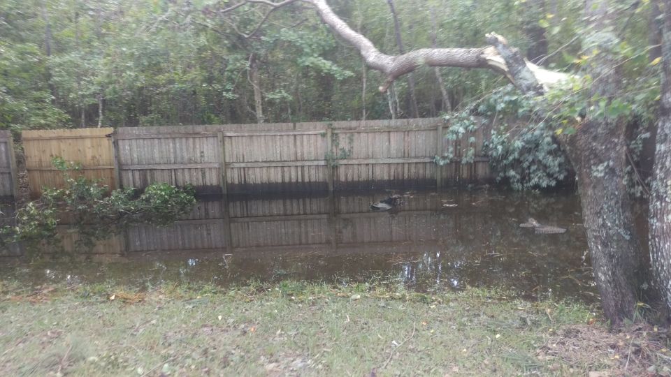 Flooded backyard with a large tree branch fallen across the fence