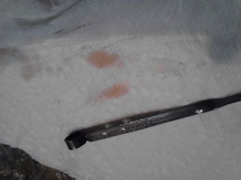 1995 Ford Bronco - An oil dipstick shows reddish fluid spots on a paper towel, indicating a potential issue.