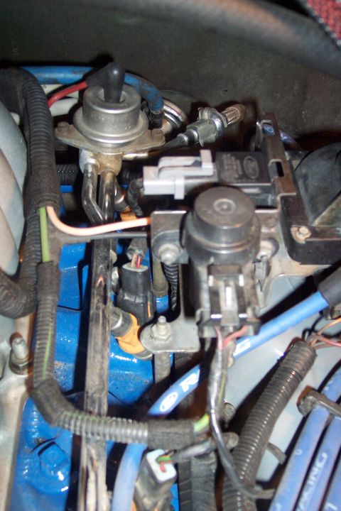 1995 Ford Bronco - Close-up of engine components including fuel injectors and regulator.