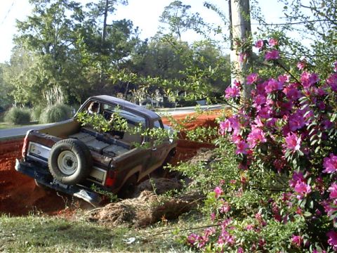 1985 Ford Bronco - This vehicle appears to be stuck in a ditch, with vegetation growing around it.
