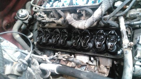1991 Ford F-150 - The exposed valve train of an engine, showing the rocker arms and springs.