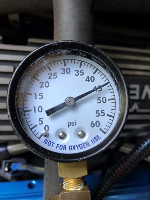 1981 Ford LTD - Fuel pump primed itself and the pressure is nice and steady.