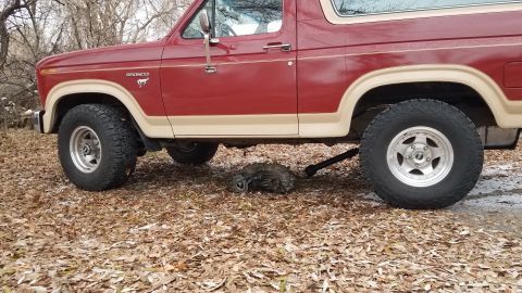 1985 Ford Bronco - 1985 Ford Bronco with its transmission removed, parked outdoors on a bed of fallen leaves.