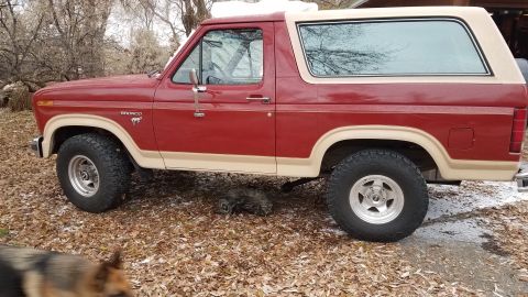 1985 Ford Bronco - A red and tan Ford Bronco is parked outdoors on a ground covered with fallen leaves.