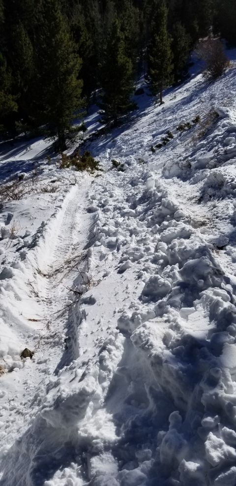 1996 Ford Bronco - Tire tracks mark a path through a snowy, wooded hillside.