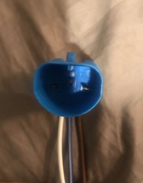 1995 Ford Bronco - Close-up of a blue electrical connector with visible wires.