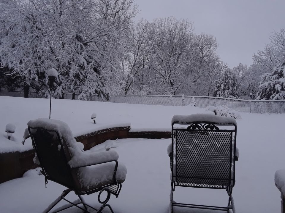 Snowy backyard with two empty chairs and snow-covered trees.